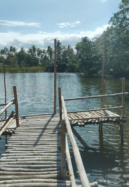 Fishing Pond