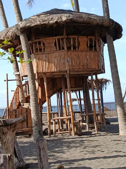 Treehouse Only