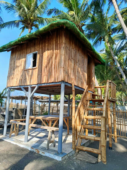 Treehouse Bunk Bed